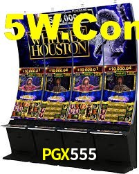 Programa VIP PGX555