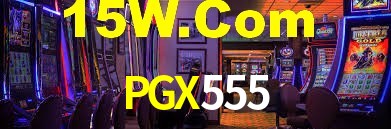 Premium Interface PGX555